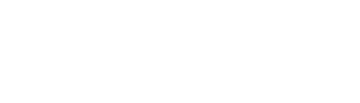 Radical IT Solutions