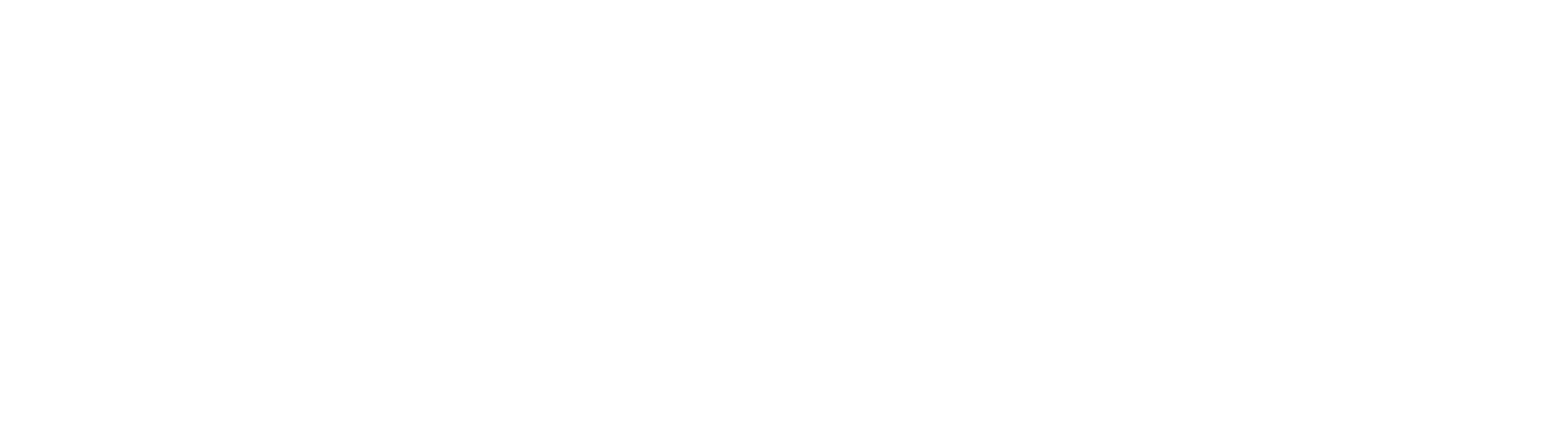 Radical IT Solutions
